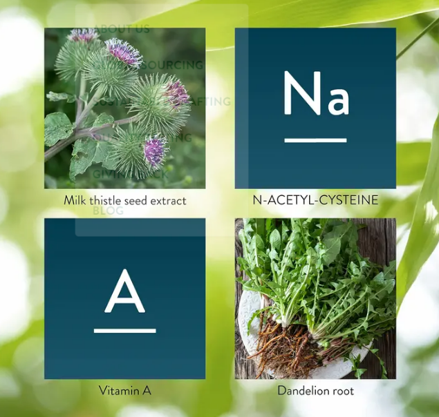 ДЕТОКС - Молочный Чертополох НСП